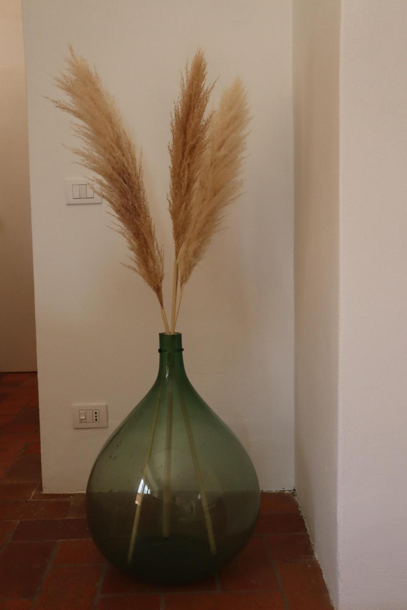 Abbadia Wine Relais Bed & Breakfast Montefollonico Екстериор снимка