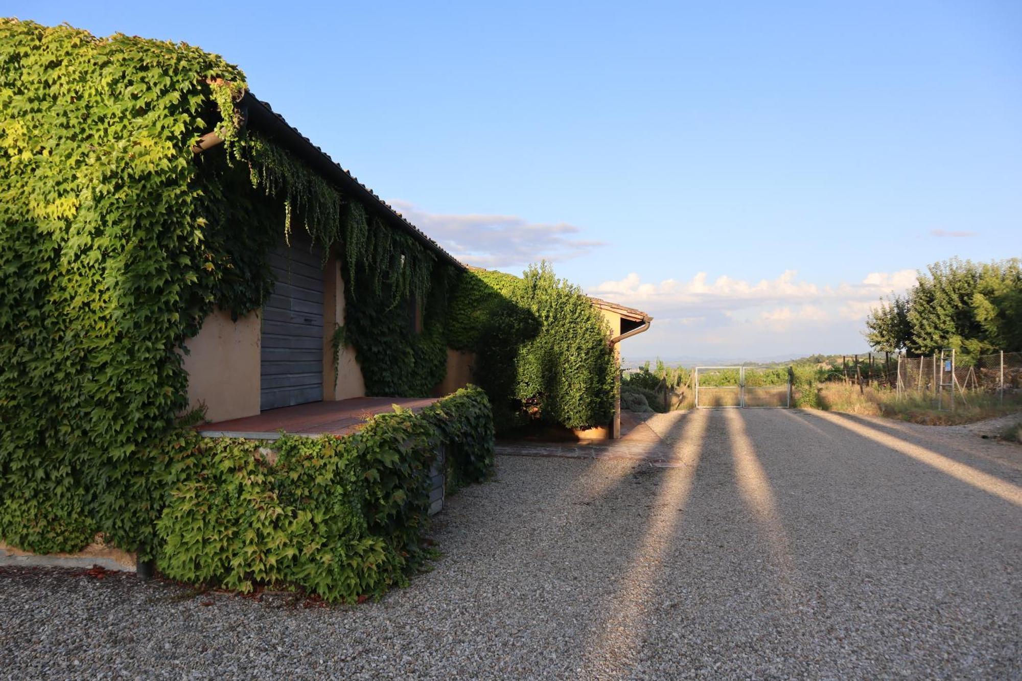 Abbadia Wine Relais Bed & Breakfast Montefollonico Екстериор снимка