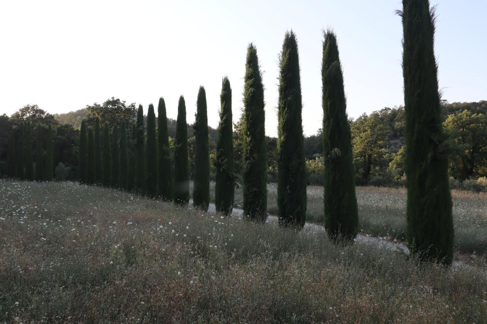 Abbadia Wine Relais Bed & Breakfast Montefollonico Екстериор снимка