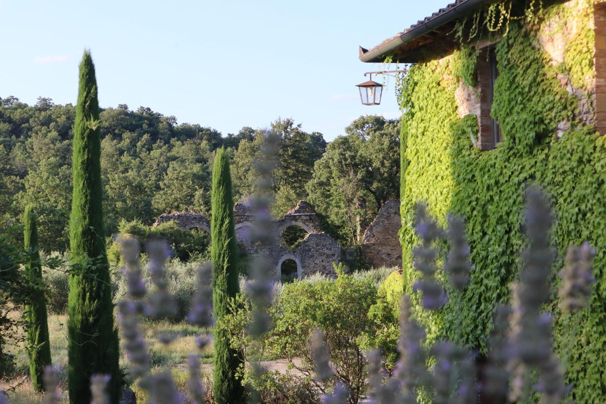 Abbadia Wine Relais Bed & Breakfast Montefollonico Екстериор снимка
