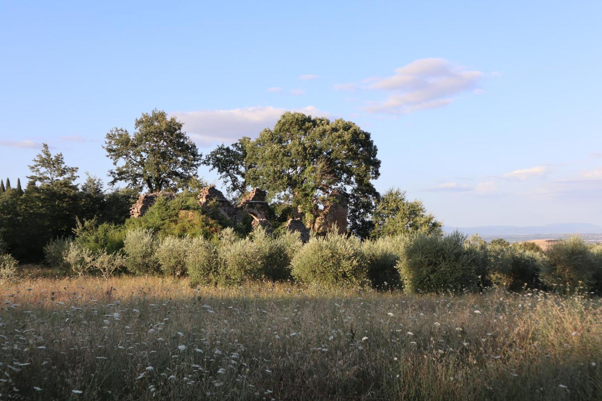 Abbadia Wine Relais Bed & Breakfast Montefollonico Екстериор снимка